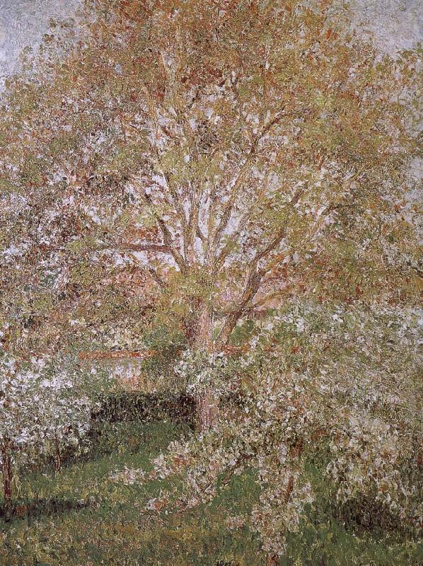 Camille Pissarro Walnut and apple trees Spain oil painting art